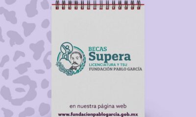 AV. MIGUEL ALEMÁN NUMERO 37 ENTRE 10B Y CALLE ROSALES, BARRIO DE SAN FRANCISCO C.P 24010 SAN FRANCISCO DE CAMPECHE, CAMPECHE. Tel. 9811447853 https:/ /campeche.gob.mx