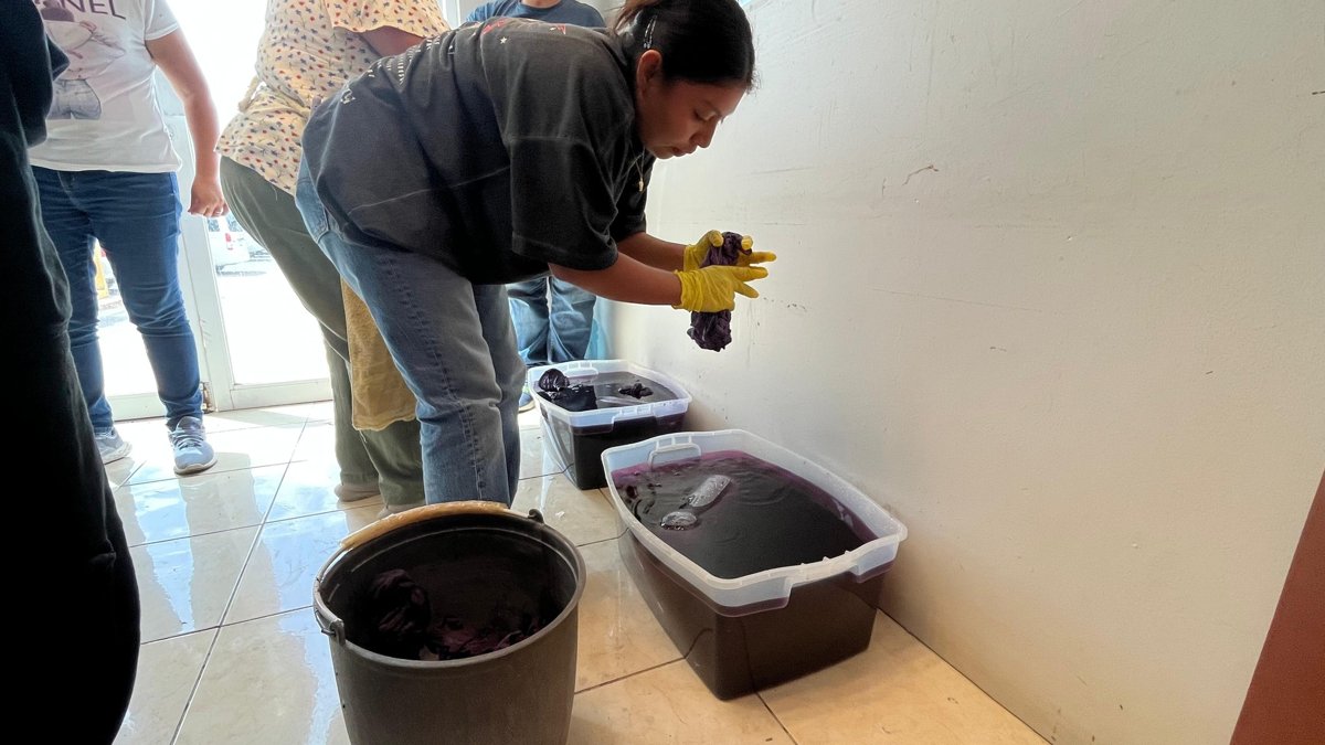 LA APCEC PARTICIPA EN LA REVALORIZACIÓN DEL PATRIMONO NATURAL