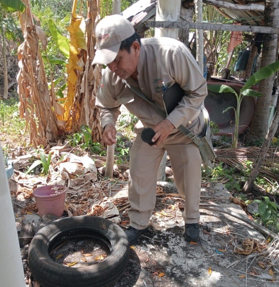 COMBATE AL DENGUE PERMANENTE EN TODO EL ESTADO