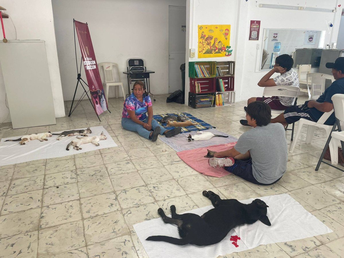 LA SECRETARÍA DE INCLUSIÓN IMPULSA LA SALUD Y BIENESTAR ANIMAL EN CAMPECHE