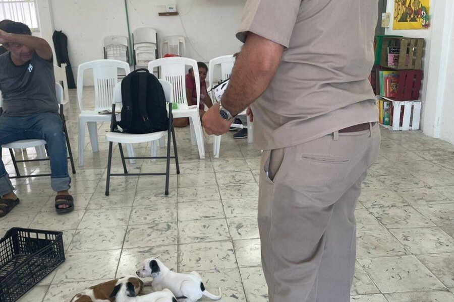 LA SECRETARÍA DE INCLUSIÓN IMPULSA LA SALUD Y BIENESTAR ANIMAL EN CAMPECHE