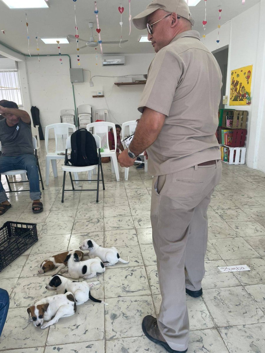 LA SECRETARÍA DE INCLUSIÓN IMPULSA LA SALUD Y BIENESTAR ANIMAL EN CAMPECHE
