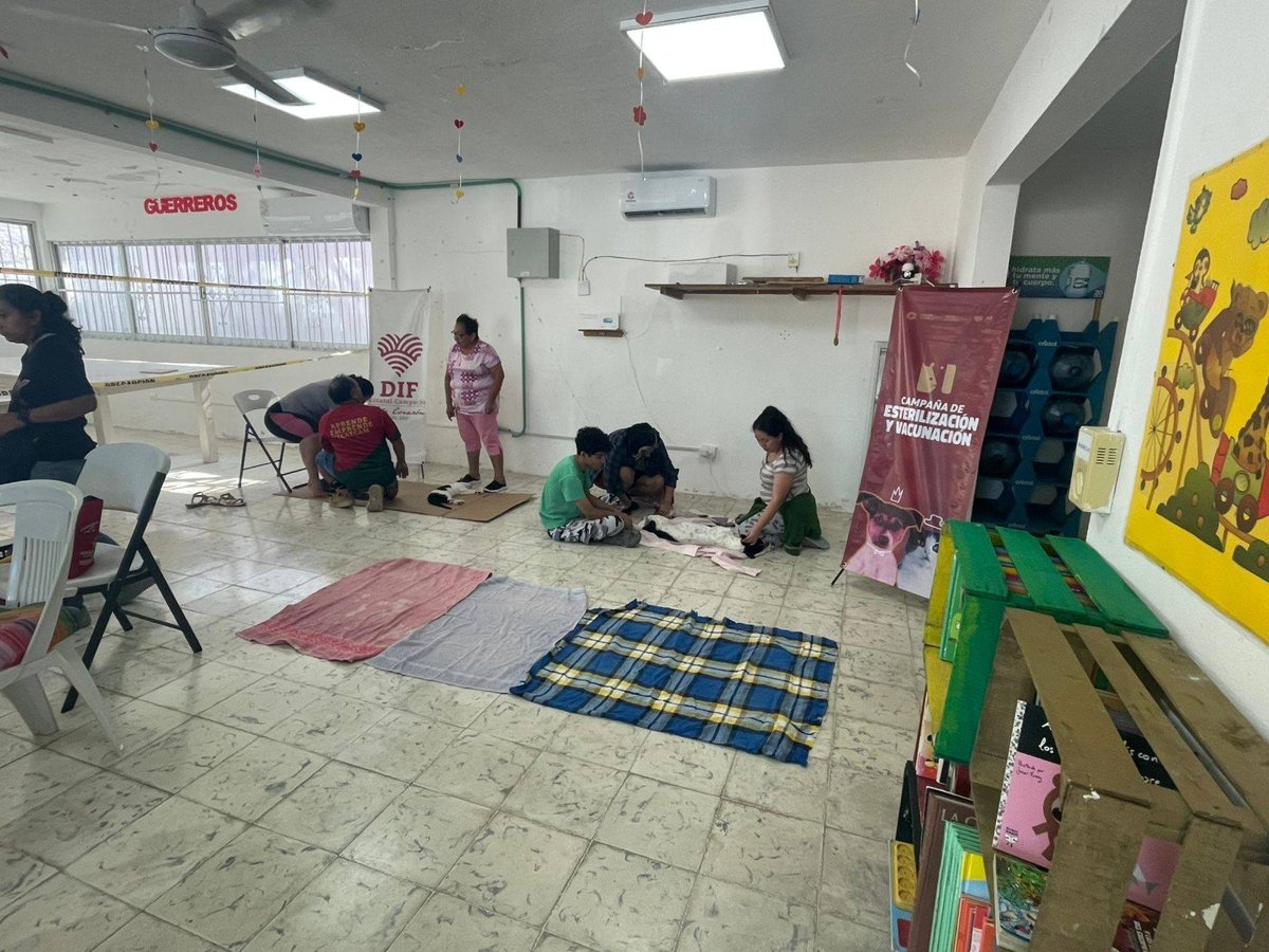 LA SECRETARÍA DE INCLUSIÓN IMPULSA LA SALUD Y BIENESTAR ANIMAL EN CAMPECHE