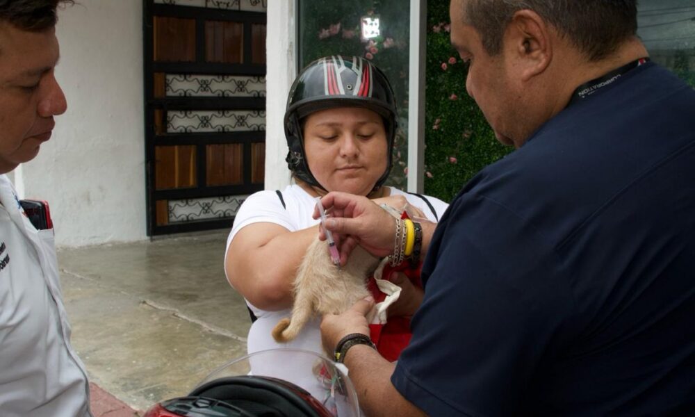 PROTEGEN CONTRA LA RABIA A MÁS DE 26 MIL MASCOTAS