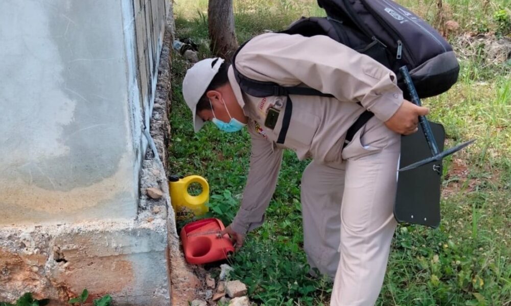 COMBATE PERMANENTE AL DENGUE EN CAMPECHE