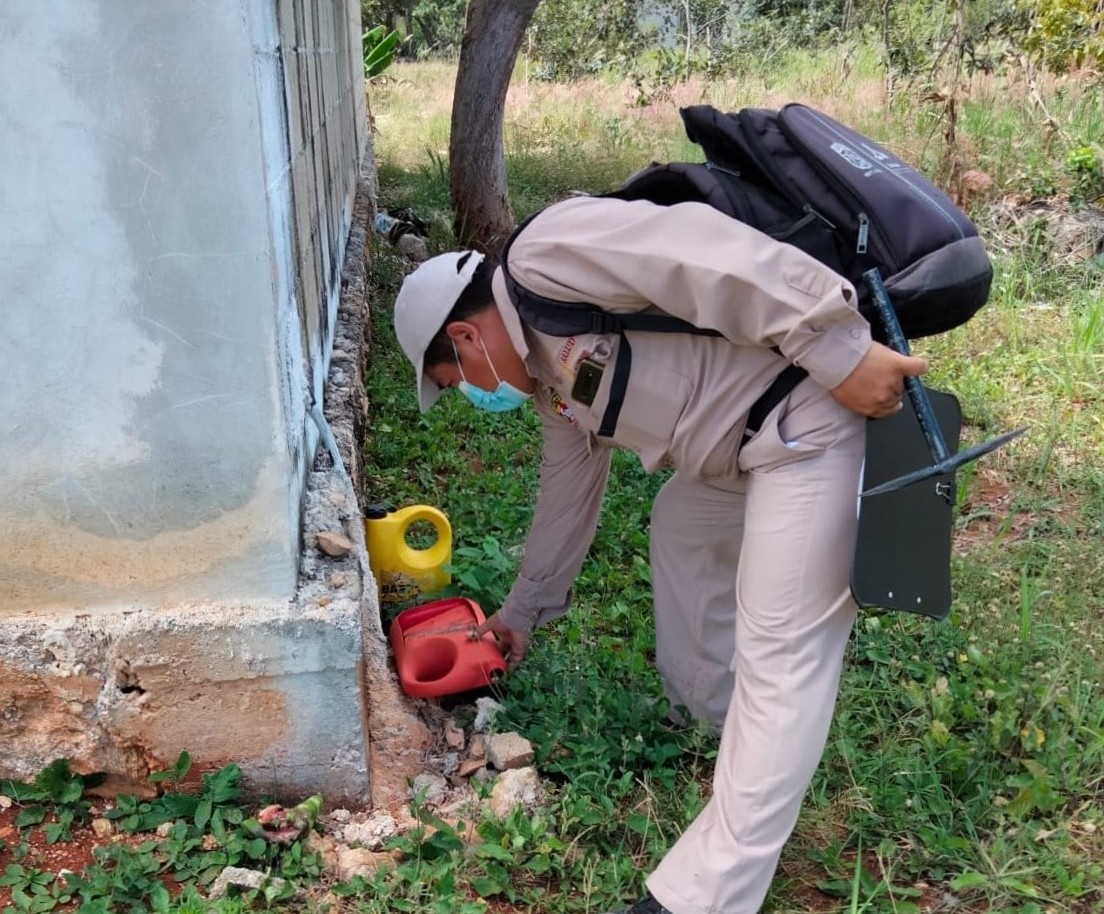 COMBATE PERMANENTE AL DENGUE EN CAMPECHE