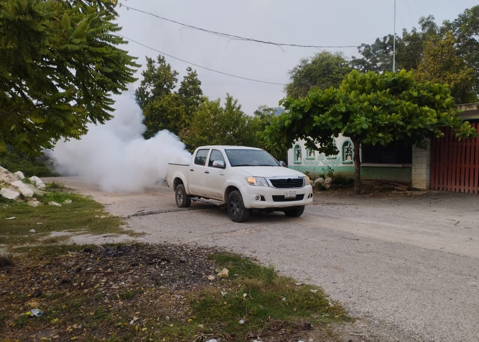 COMBATE PERMANENTE AL DENGUE EN CAMPECHE