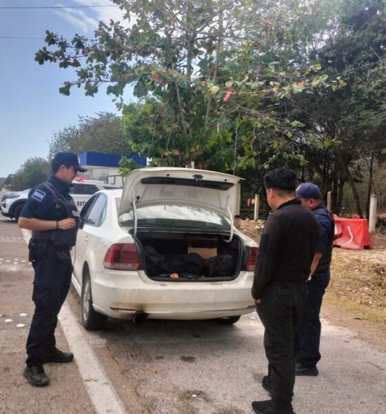 POLICIA ESTATAL REFUERZA ACCIONES DE VIGILANCIA EN LA GEOGRAFÍA ESTATAL