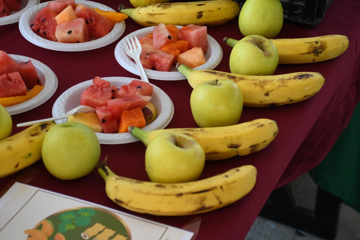 SUMAN ESFUERZOS PARA MEJORAR SALUD INFANTIL, CON CAMBIOS EN LA ALIMENTACIÓN, ACTIVIDAD FÍSICA Y MONITOREOS