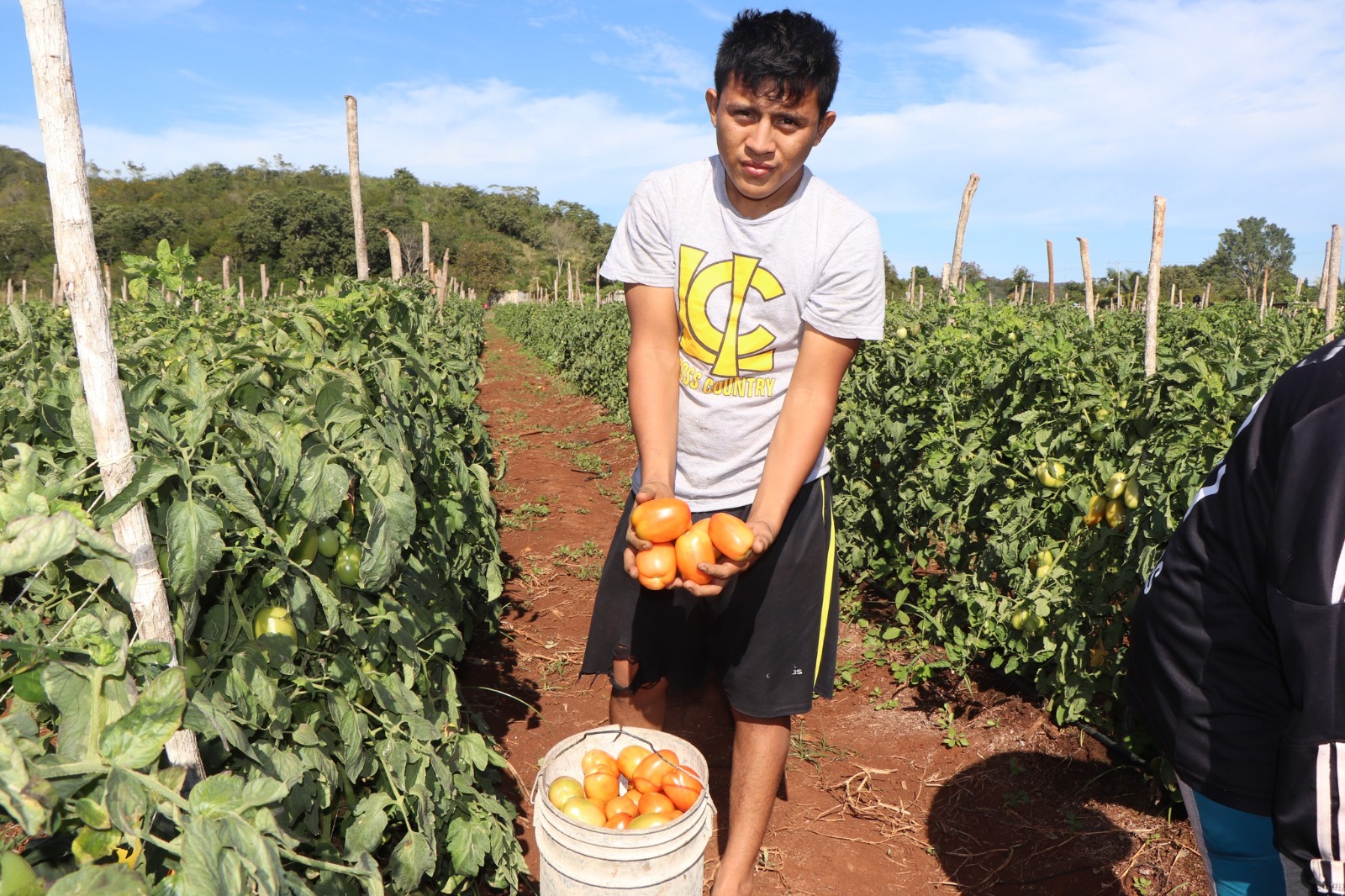 VISITA A PRODUCTORES DE TOMATE EN HACIENDA BLANCA FLOR
