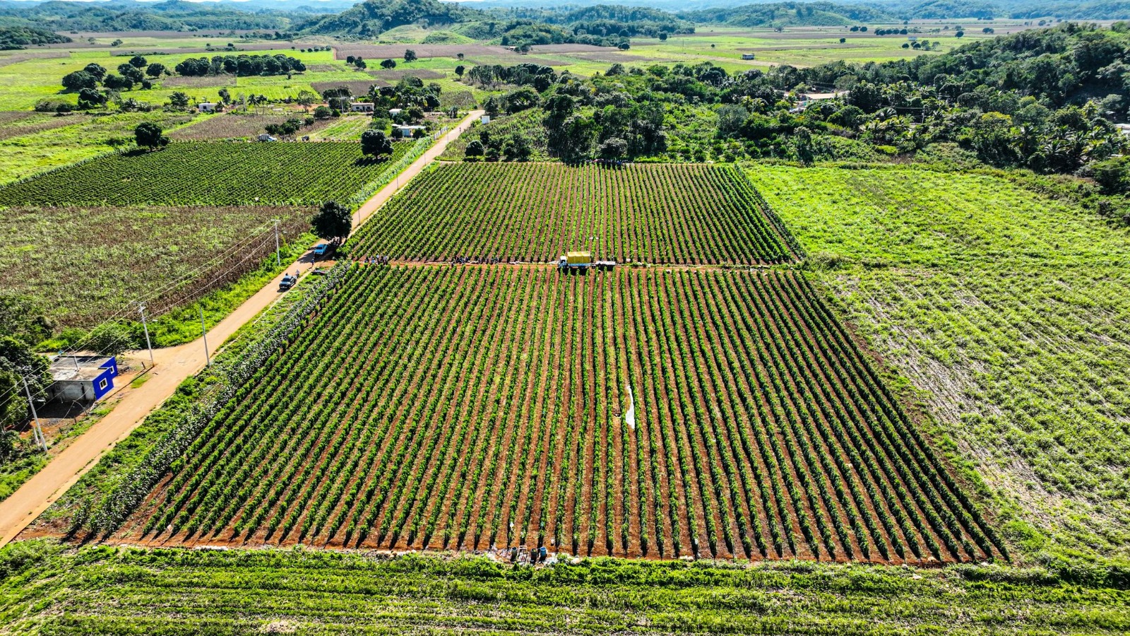 VISITA A PRODUCTORES DE TOMATE EN HACIENDA BLANCA FLOR