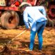 ENTREGA DE SEMILLAS HORTÍCOLAS Y JUGUETES EN PAKCHÉN