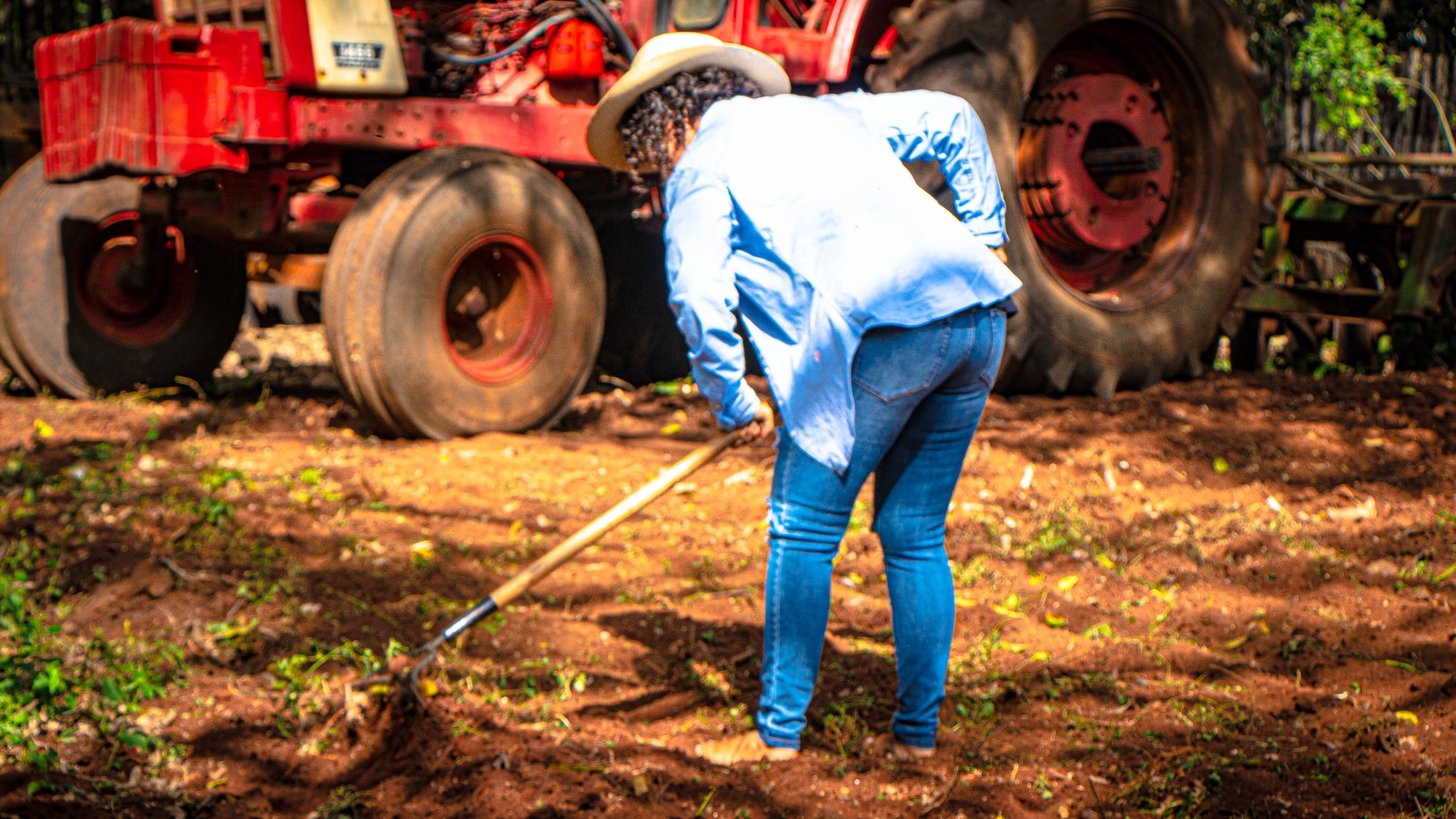 ENTREGA DE SEMILLAS HORTÍCOLAS Y JUGUETES EN PAKCHÉN
