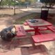MANTENIMIENTO PERMANENTE EN EL PARQUE CAMPECHE