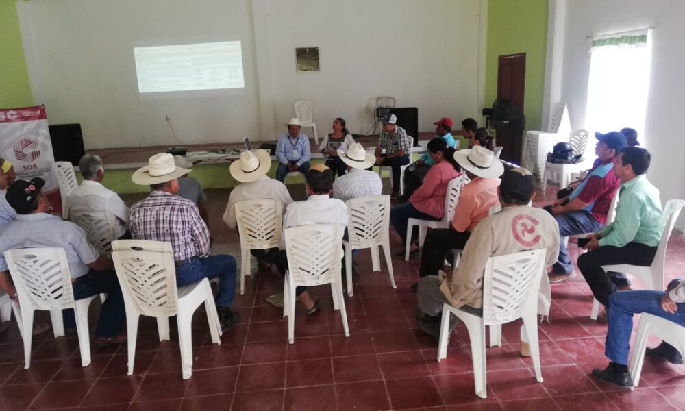 INFORME DE REGLAS DE OPERACIÓN DE PROGRAMAS INSTITUCIONALES 2024 DE LA SECRETARÍA DE DESARROLLO AGROPECUARIO