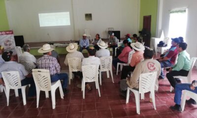 INFORME DE REGLAS DE OPERACIÓN DE PROGRAMAS INSTITUCIONALES 2024 DE LA SECRETARÍA DE DESARROLLO AGROPECUARIO