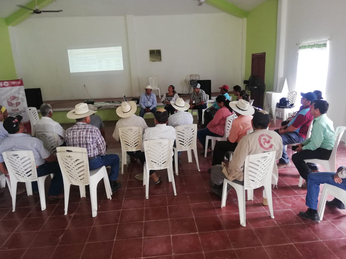 INFORME DE REGLAS DE OPERACIÓN DE PROGRAMAS INSTITUCIONALES 2024 DE LA SECRETARÍA DE DESARROLLO AGROPECUARIO