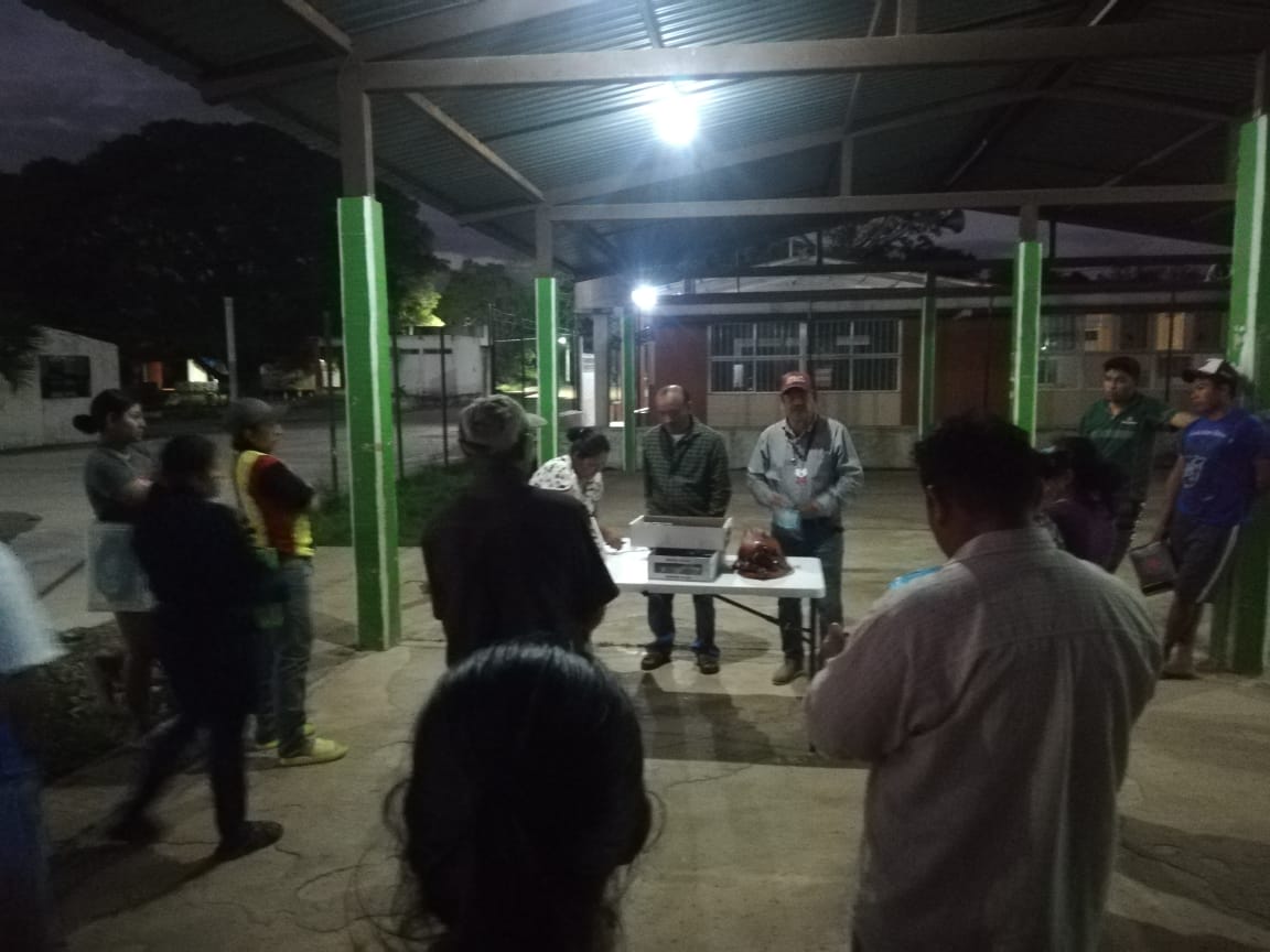 ENTREGA DE ABEJAS REINA FECUNDADAS A PRODUCTORES APÍCOLAS AFECTADOS POR MORTANDAD