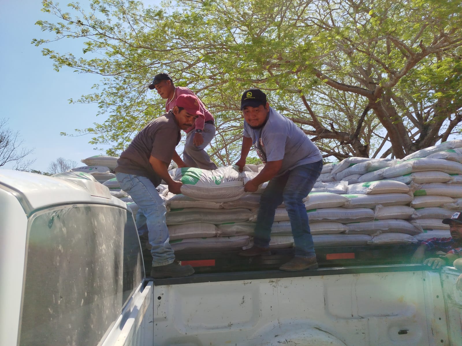 Sda Mantiene La Entrega De Fertilizantes