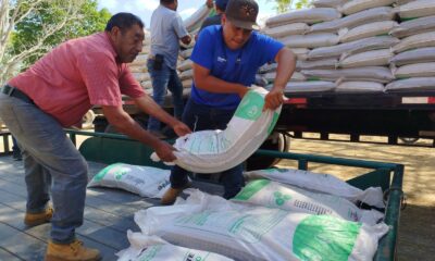 Sda Mantiene La Entrega De Fertilizantes