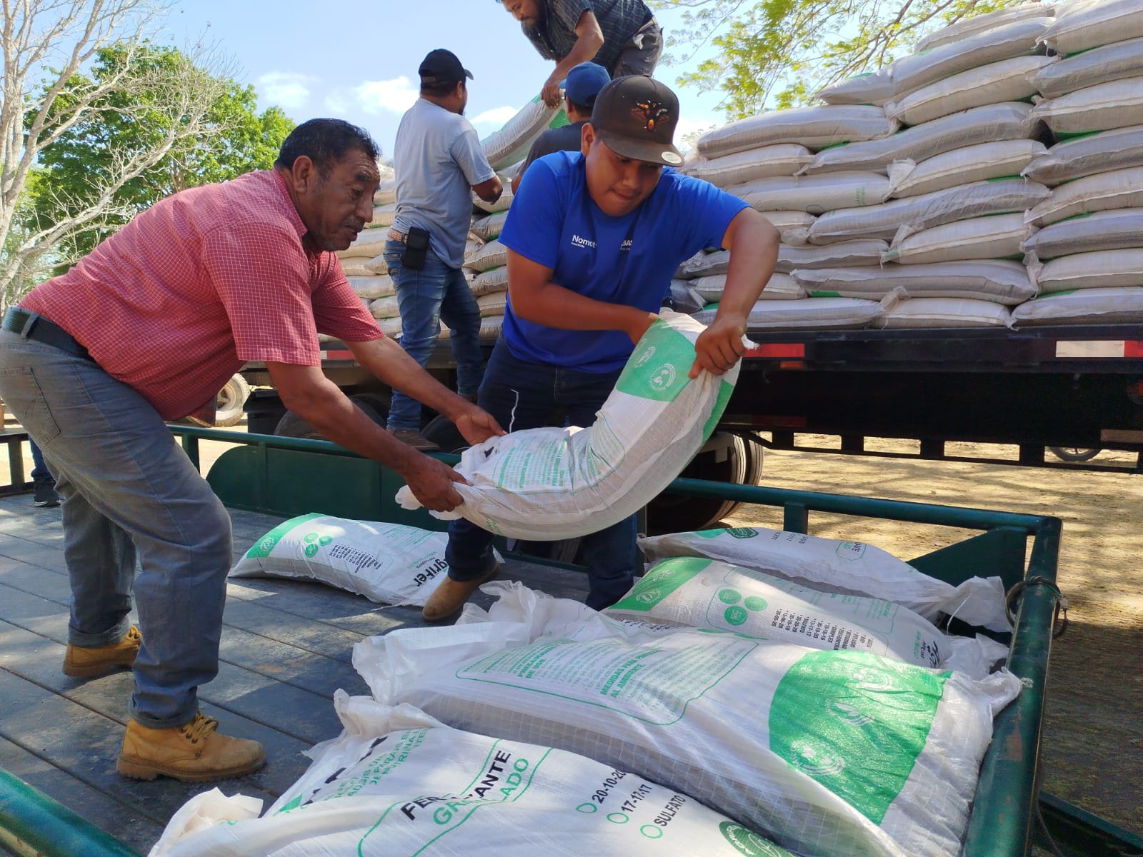 Sda Mantiene La Entrega De Fertilizantes