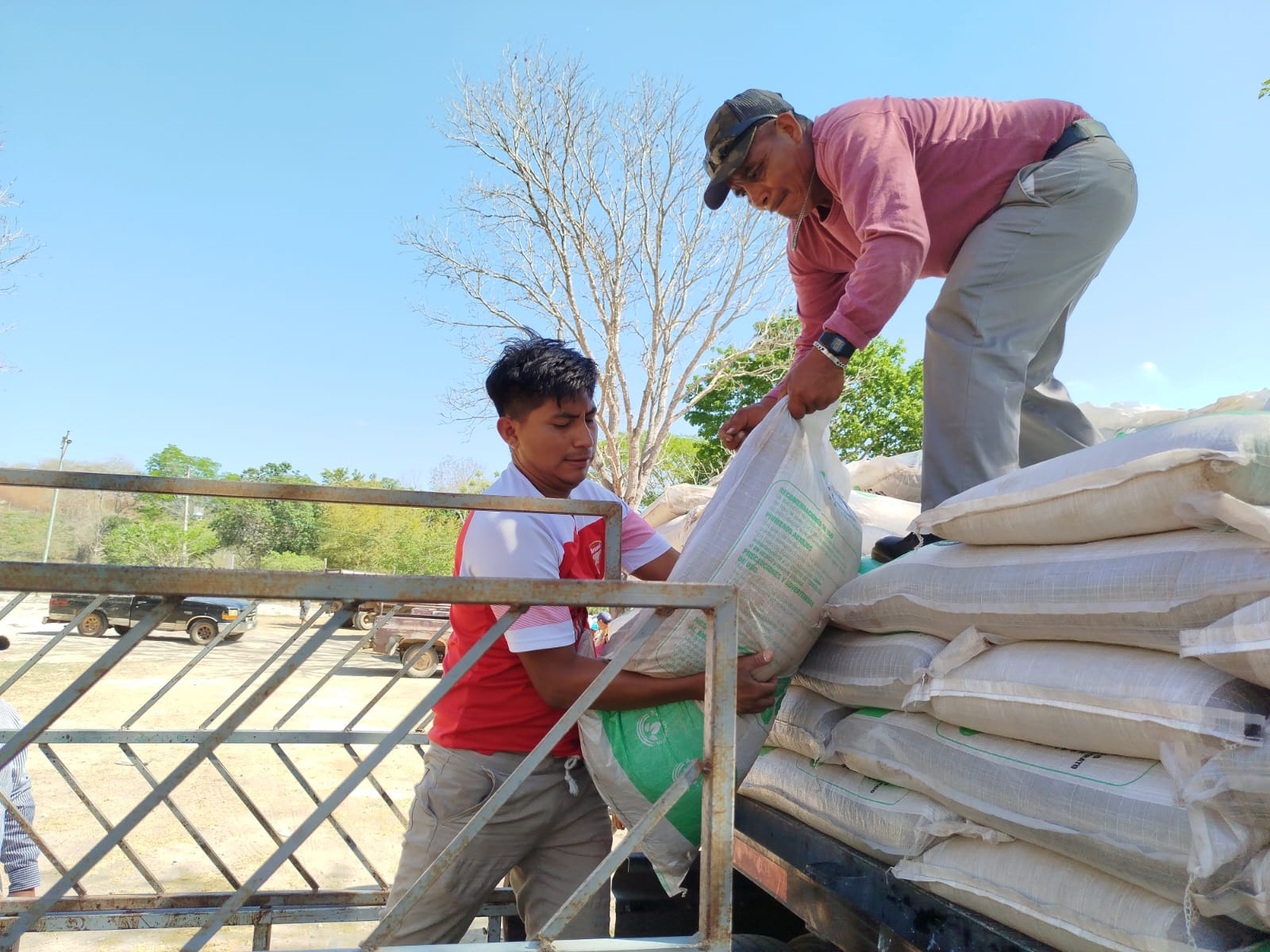 Sda Mantiene La Entrega De Fertilizantes