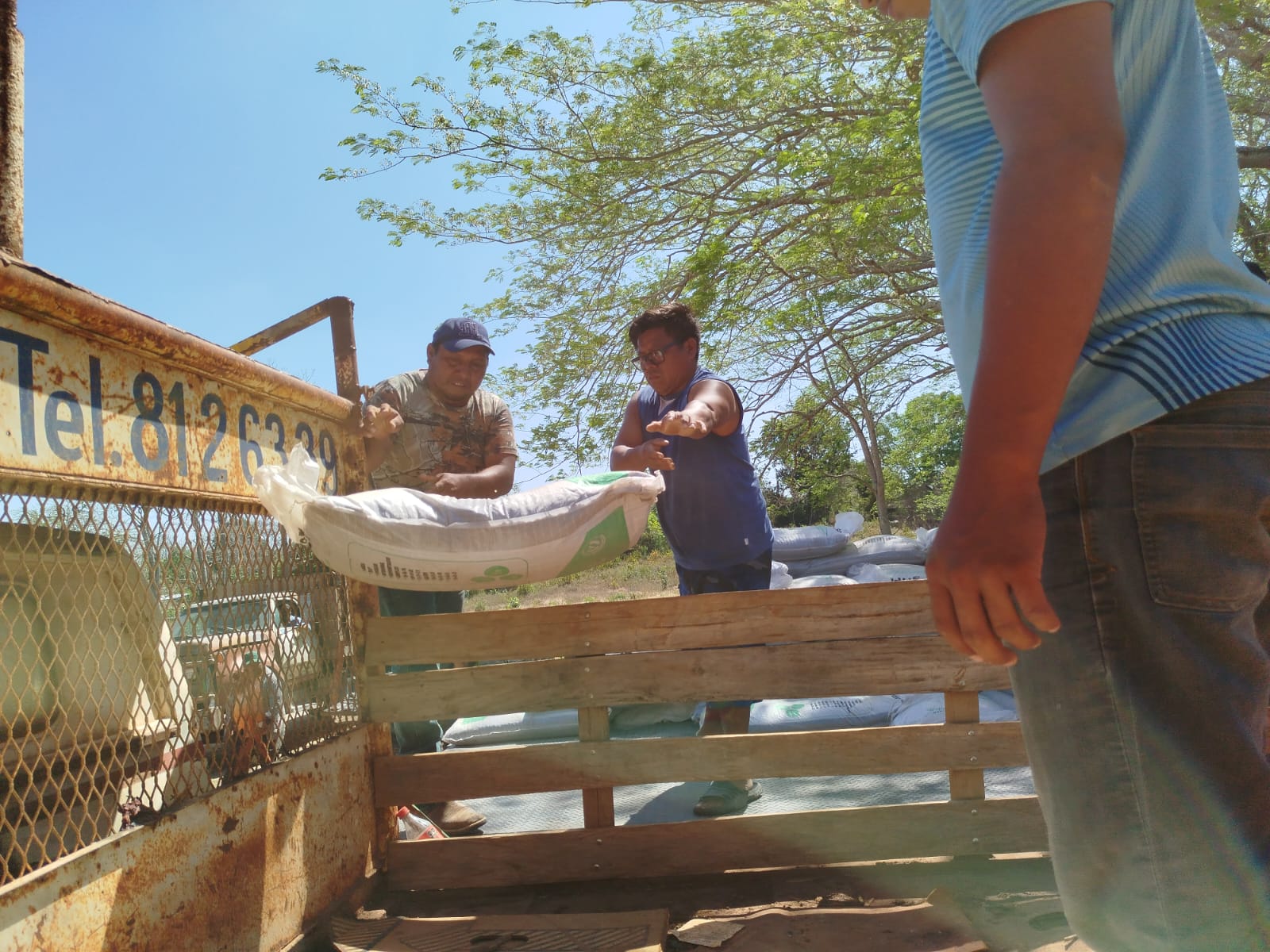 Sda Mantiene La Entrega De Fertilizantes