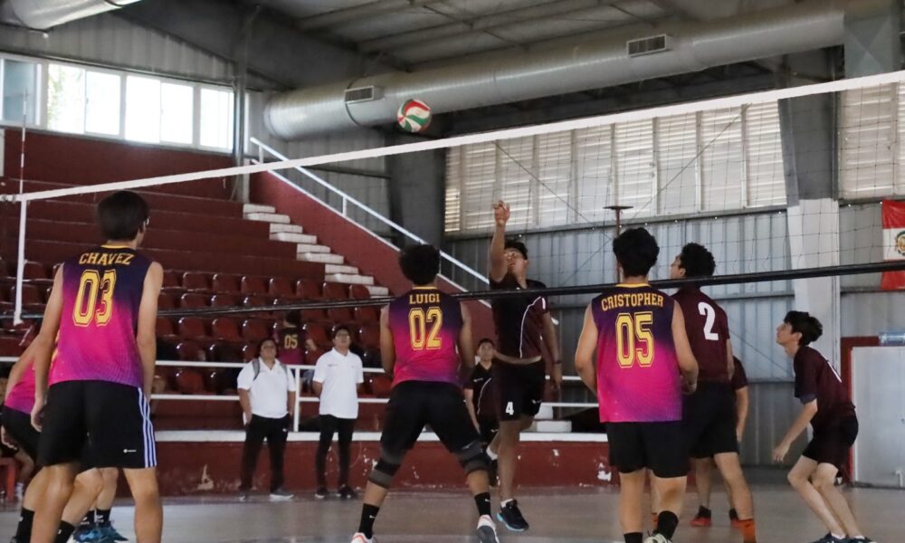 Colegio De Estudios Científicos Y Tecnológicos Del Estado De Campeche