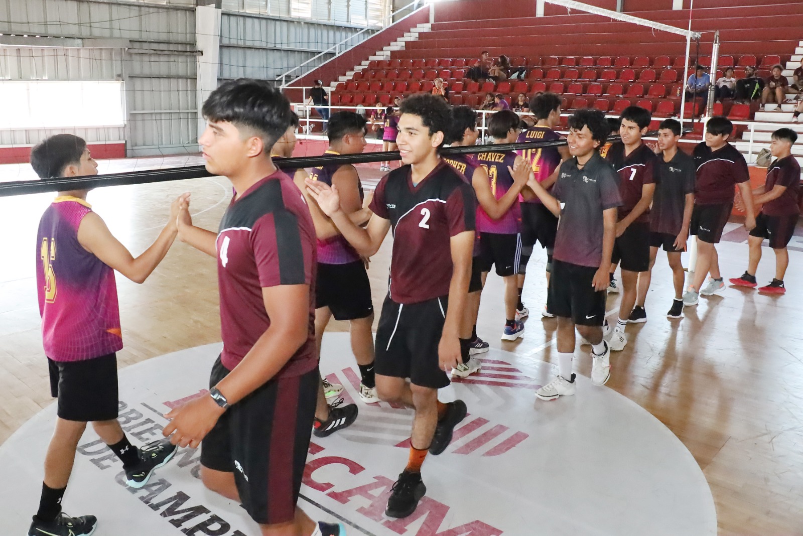 Colegio De Estudios Científicos Y Tecnológicos Del Estado De Campeche