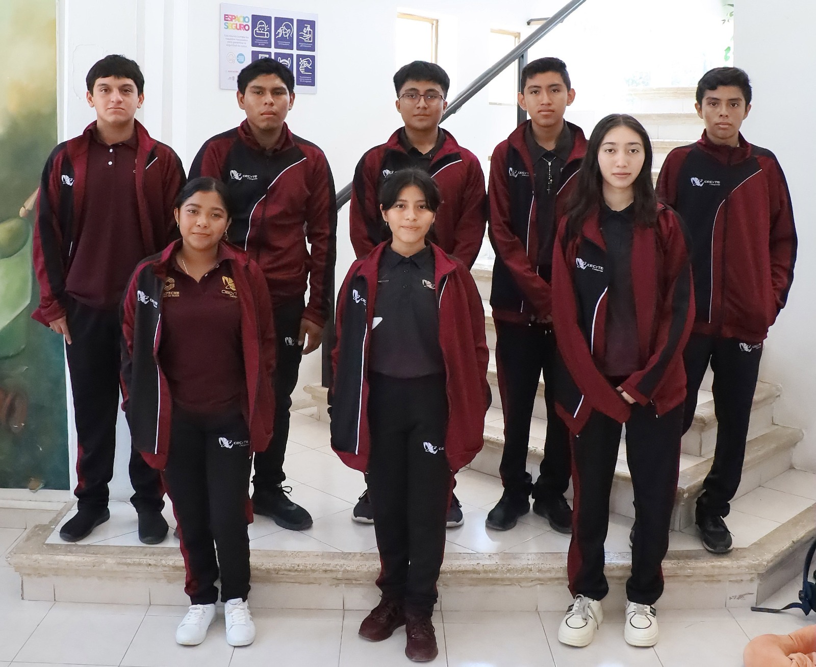Colegio De Estudios Científicos Y Tecnológicos Del Estado De Campeche