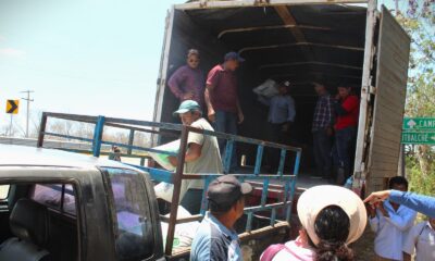 ENTREGA DE FERTILIZANTE EN EL MUNICIPIO DE DZITBALCHÉ