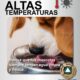CONTINUARÁN ALTAS TEMPERATURA PARA ESTE INICIO DE SEMANA