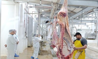 SUPERVISIÓN DE LOS AVANCES EN MATERIA DE SANIDAD ANIMAL EN EL MUNICIPIO DE PALIZADA