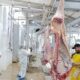 SUPERVISIÓN DE LOS AVANCES EN MATERIA DE SANIDAD ANIMAL EN EL MUNICIPIO DE PALIZADA
