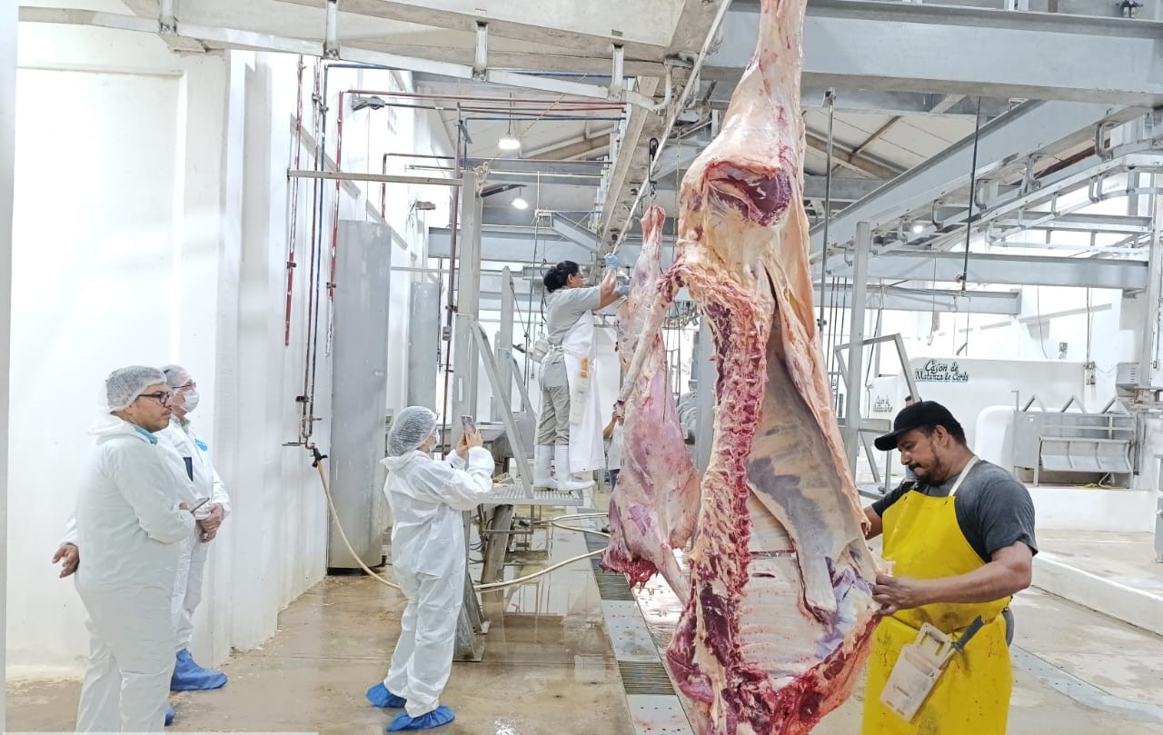 SUPERVISIÓN DE LOS AVANCES EN MATERIA DE SANIDAD ANIMAL EN EL MUNICIPIO DE PALIZADA