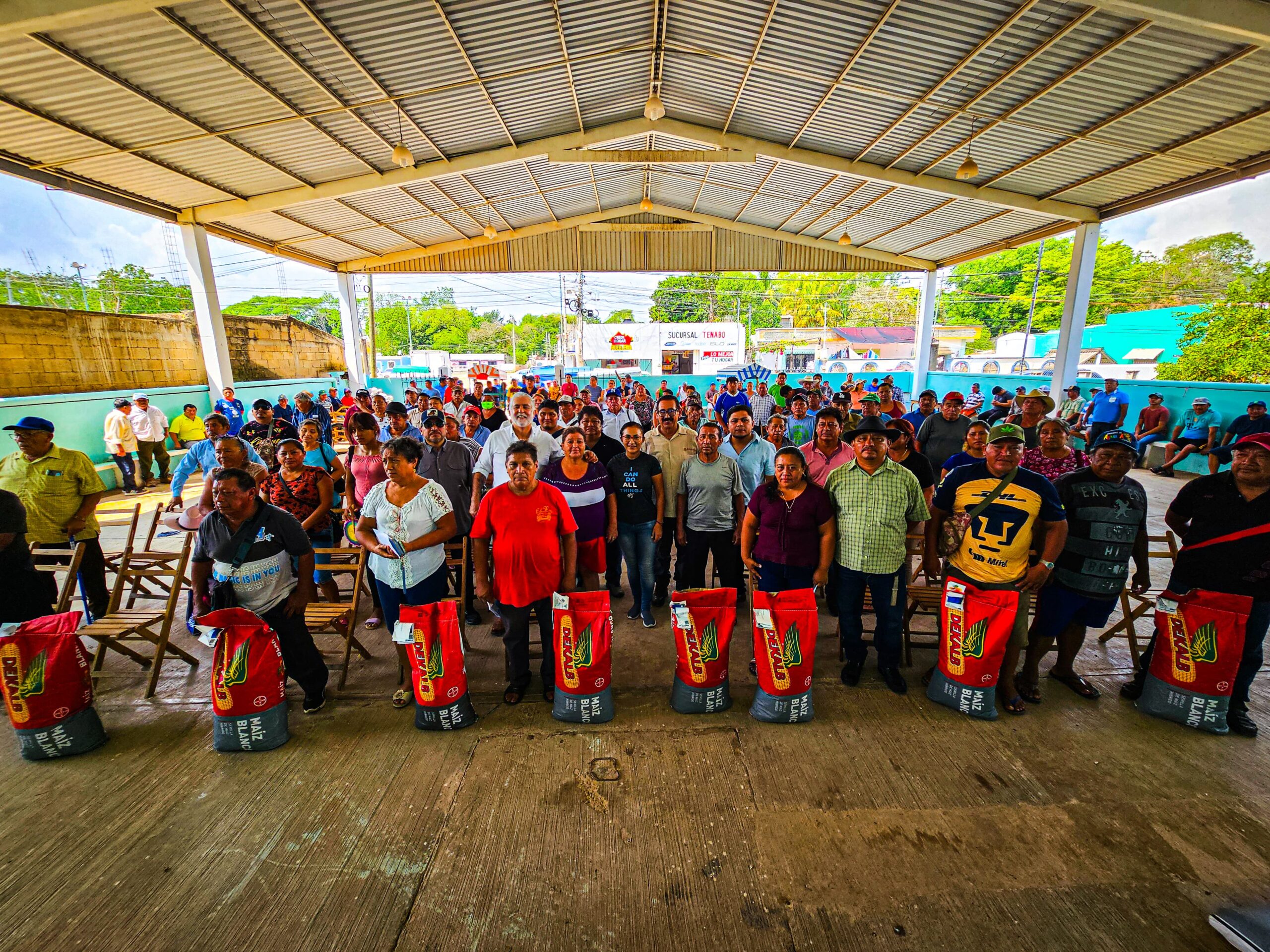 ENTREGA DE SEMILLAS DE MAÍZ EN EL MUNICIPIO DE TENABO