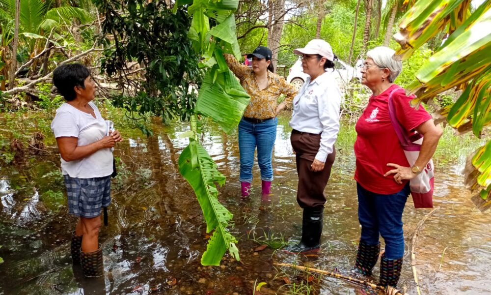 COMBATEN DENGUE EN LOCALIDADES DE CHAMPOTÓN