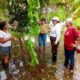 COMBATEN DENGUE EN LOCALIDADES DE CHAMPOTÓN