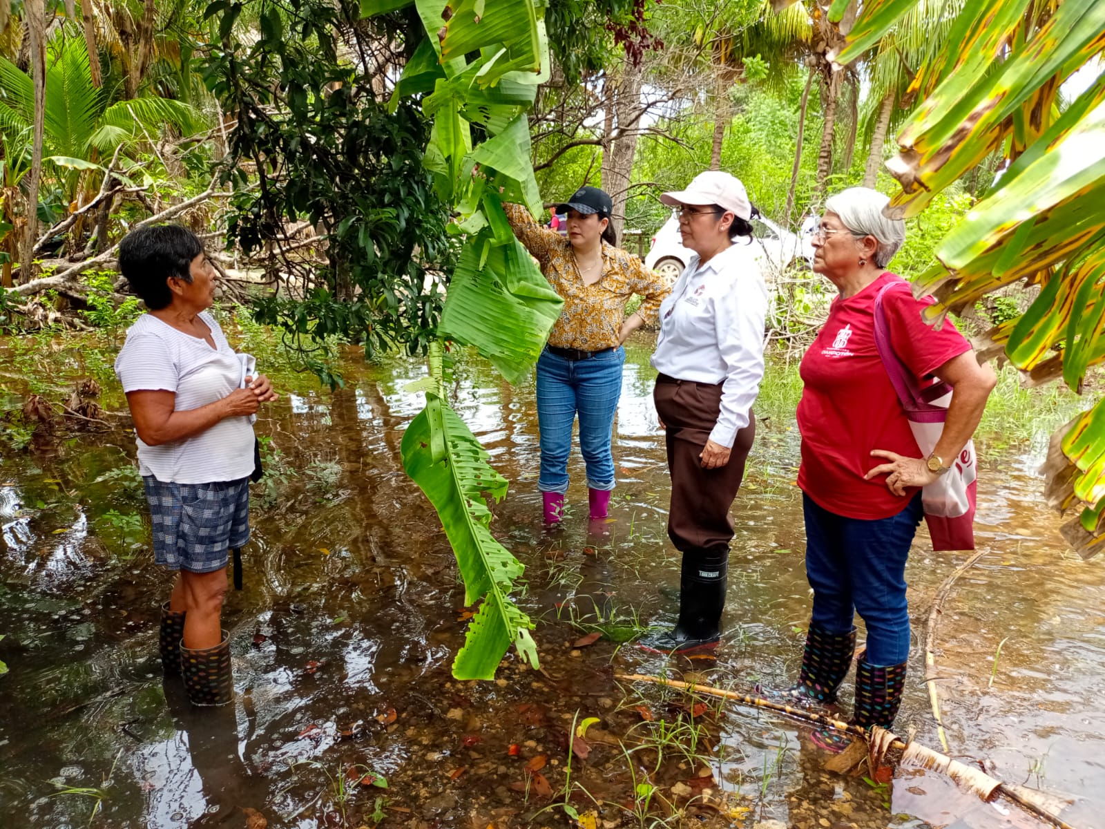 COMBATEN DENGUE EN LOCALIDADES DE CHAMPOTÓN
