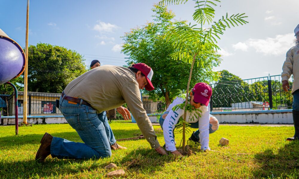 LA SDA IMPULSA LA CONSERVACIÓN AMBIENTAL EN POCYAXUM, CON EL "RESCATE DE ÁREAS VERDES EN ZONAS RURALES"