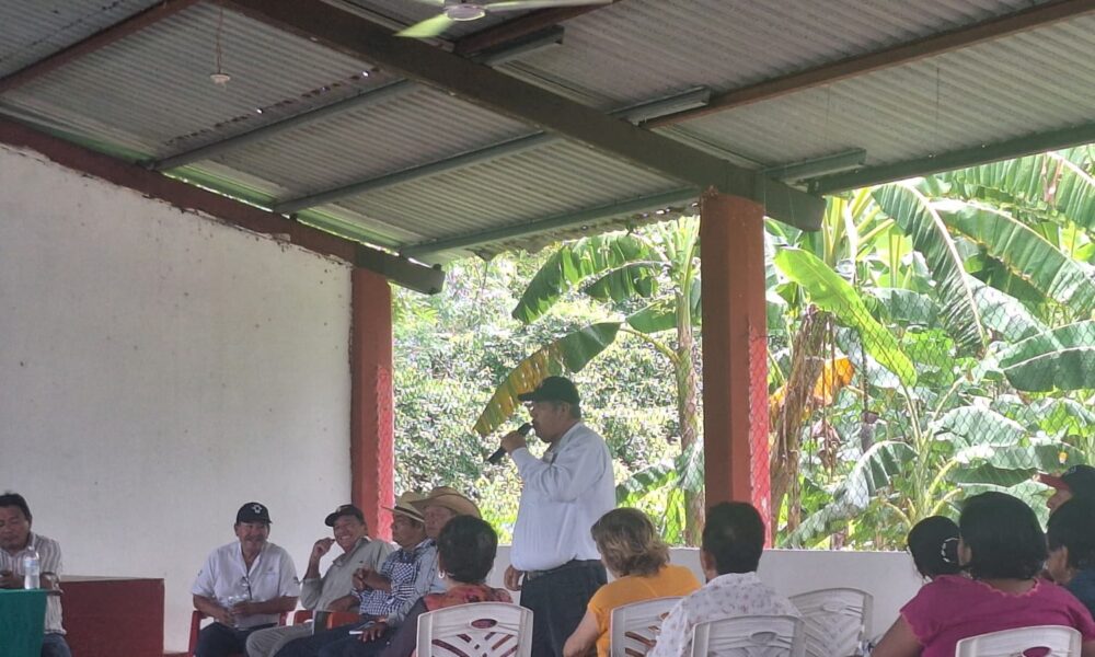 PRODUCTORES DE PALIZADA PRESENTAN INFORME DE ACTIVIDADES