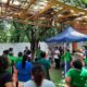 XIMBAL SE CONSOLIDA COMO OPCIÓN RECREATIVA