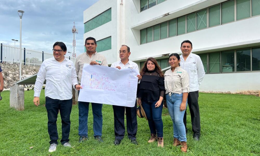 REGENERAMOS ÁREAS VERDES EN LA UAC