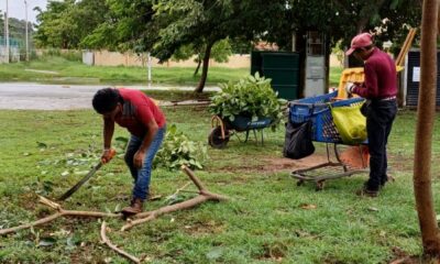 SIN AFECTACIONES EN PARQUES XIMBAL Y CAMPECHE