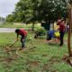 SIN AFECTACIONES EN PARQUES XIMBAL Y CAMPECHE