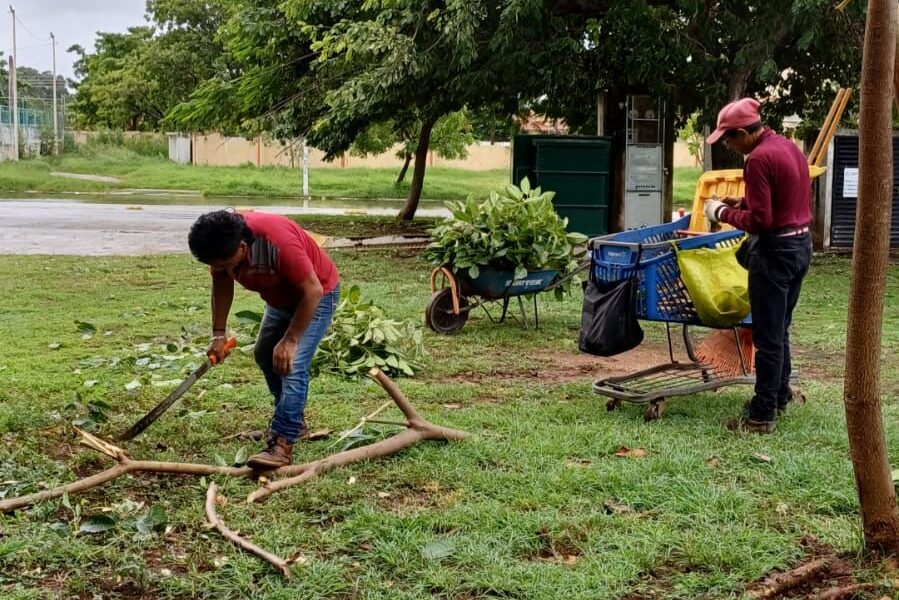 SIN AFECTACIONES EN PARQUES XIMBAL Y CAMPECHE
