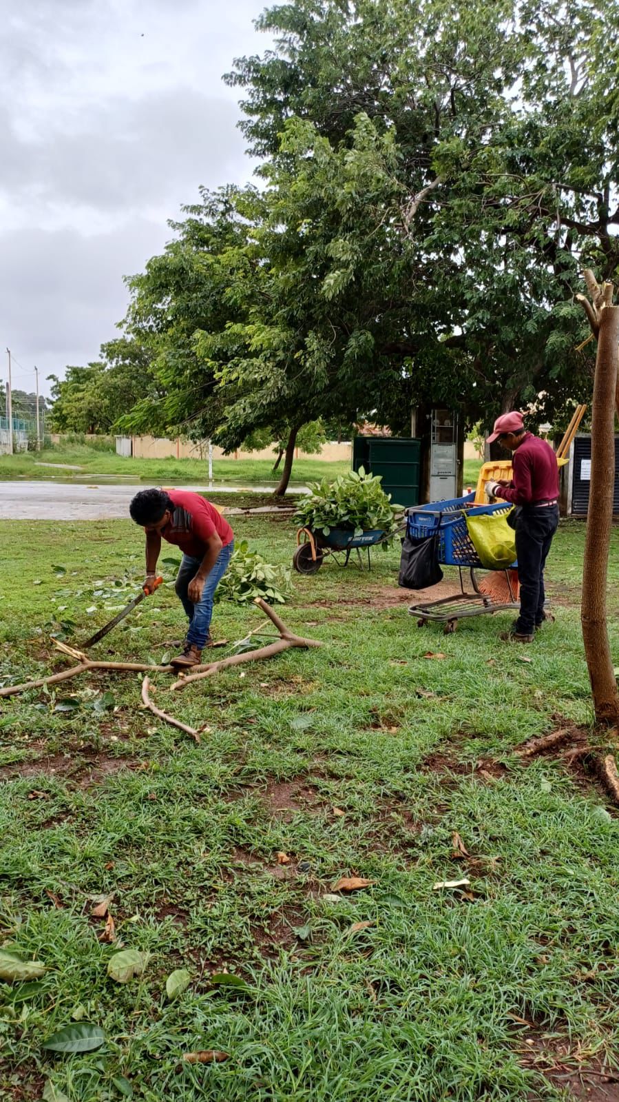 SIN AFECTACIONES EN PARQUES XIMBAL Y CAMPECHE