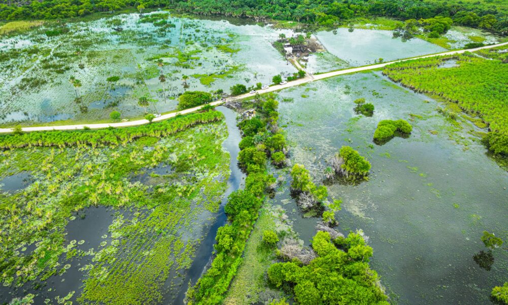 ACCIONES DE APOYO A PRODUCTORES DE SEYBAPLAYA AFECTADOS POR HURACÁN MILTON