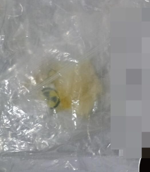 SPSC ASEGURA A SUJETO EN POSESIÓN DE PRESUNTA DROGA EN CARMEN