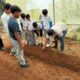 INSTALACIÓN DE HUERTO URBANO EN TELESECUNDARIA DE CHENCOH